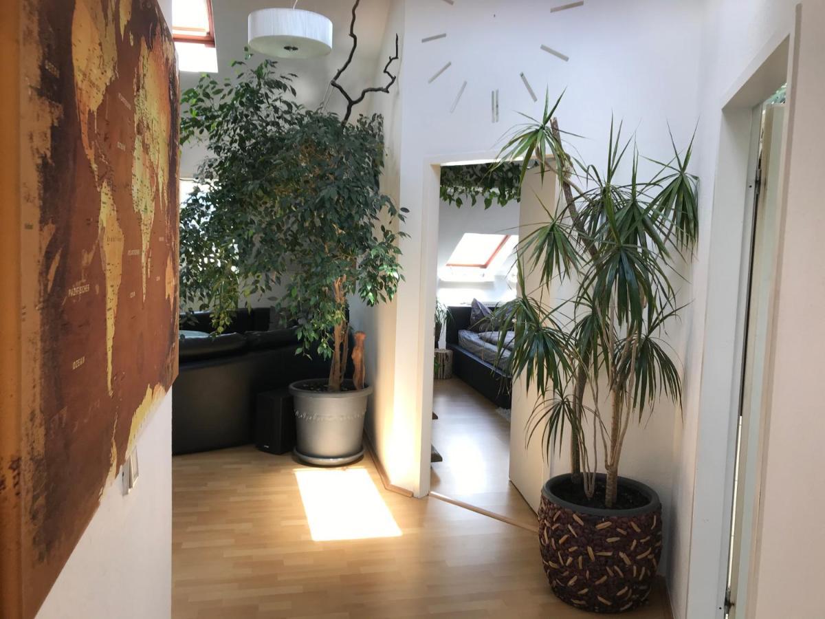 Stadtdschungel Fewo Mit Balkon 콧부스 외부 사진