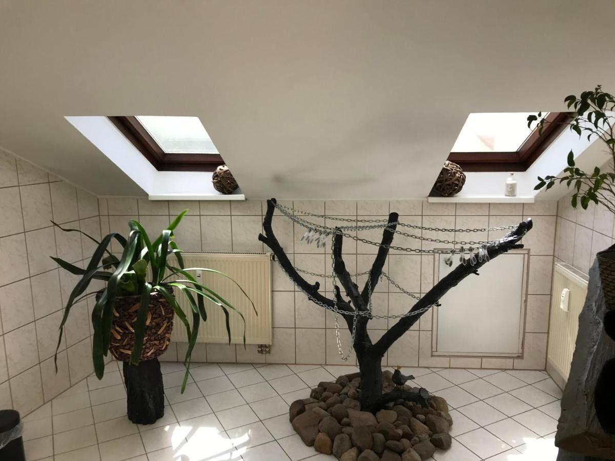 Stadtdschungel Fewo Mit Balkon 콧부스 외부 사진